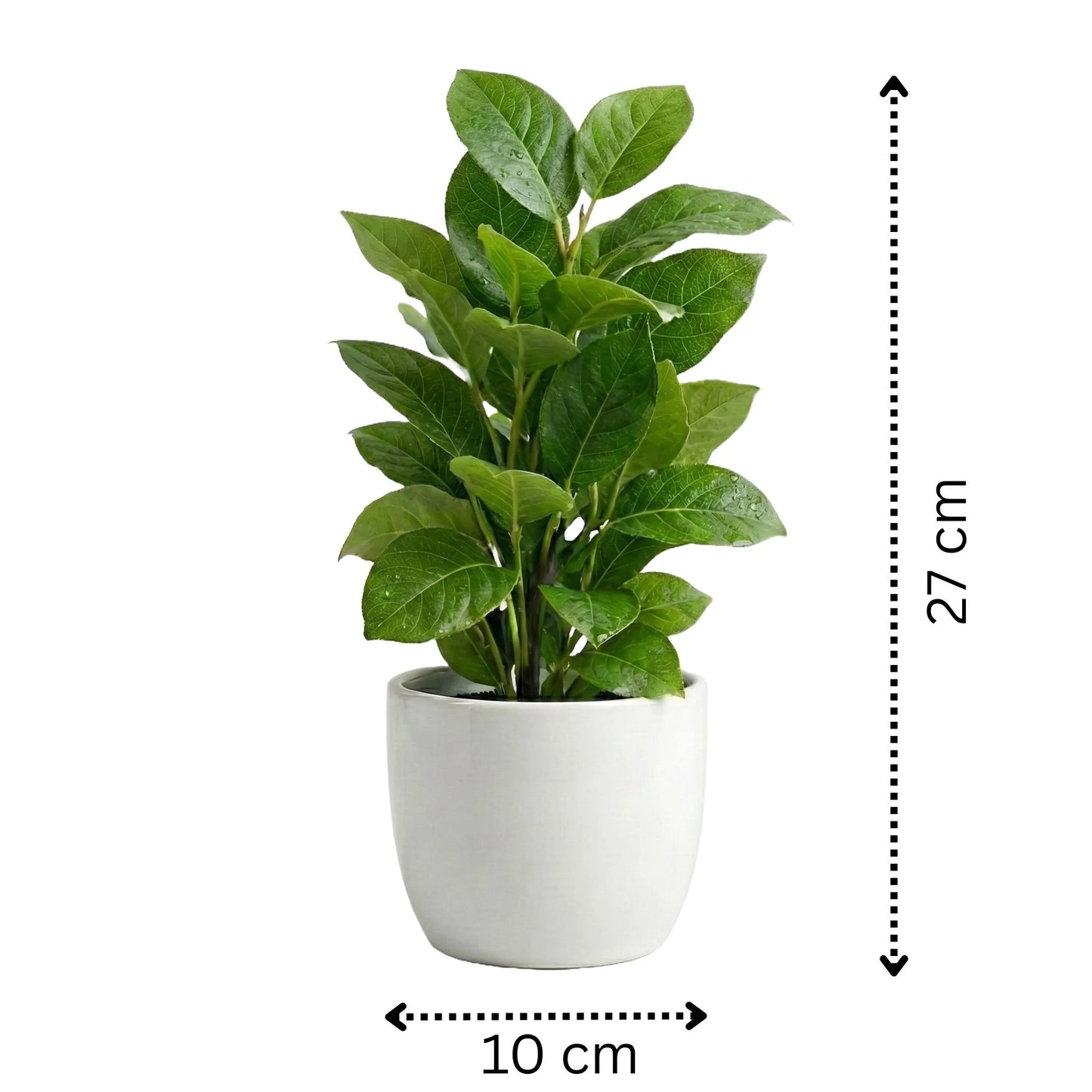 Artificial Green Leaf Potted Plant with White Pot