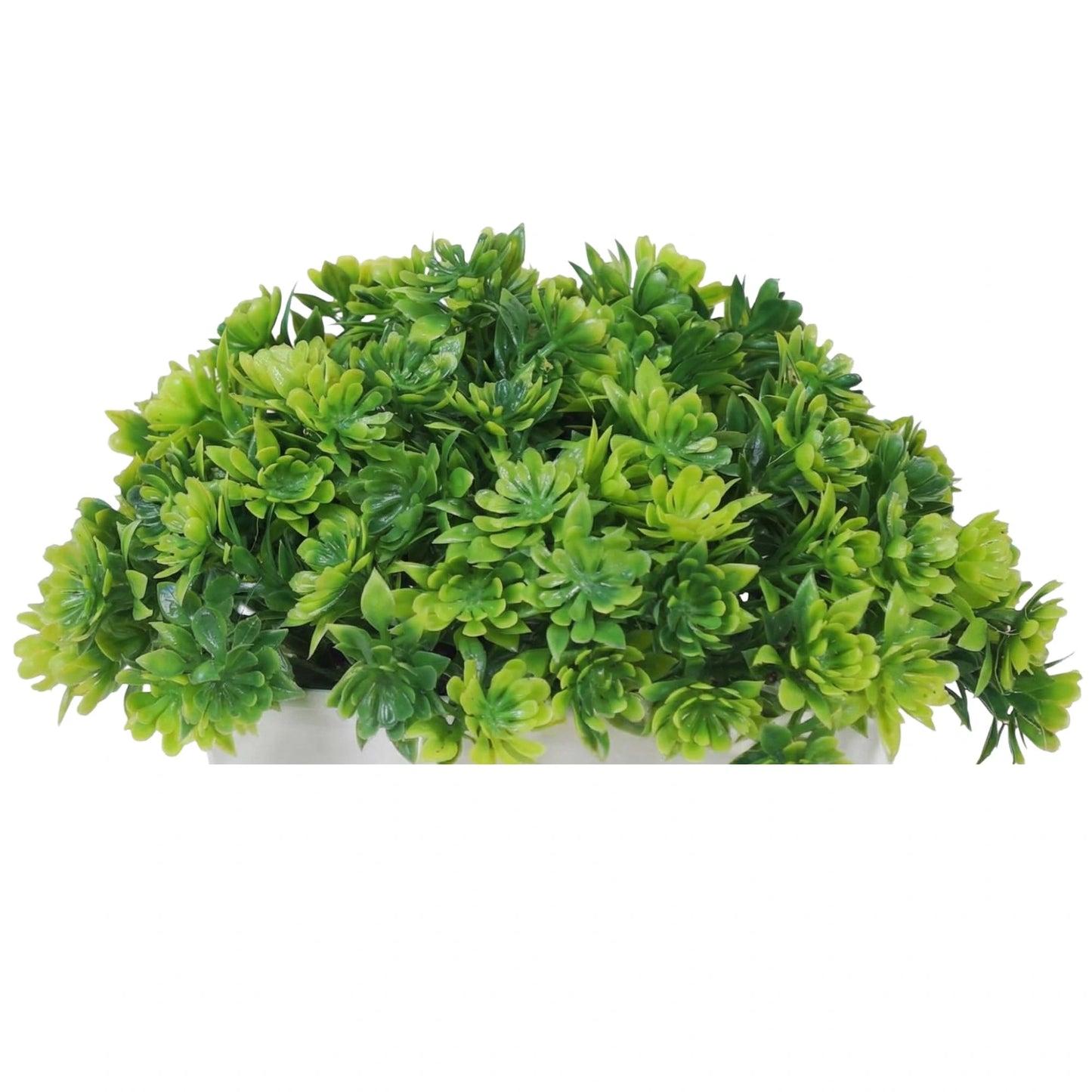 Dekorly Artificial Mini Bonsai Plant with Pot