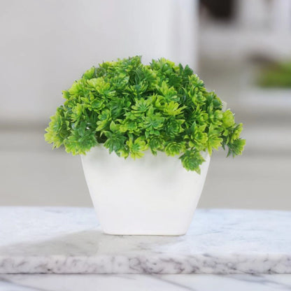 Dekorly Artificial Mini Bonsai Plant with Pot