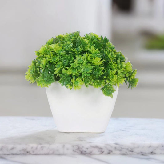 Dekorly Artificial Mini Bonsai Plant with Pot