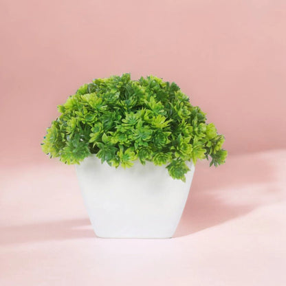 Dekorly Artificial Mini Bonsai Plant with Pot