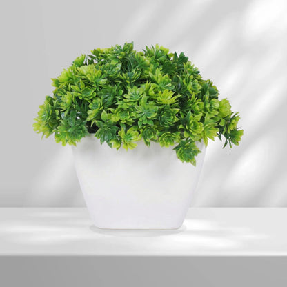 Dekorly Artificial Mini Bonsai Plant with Pot