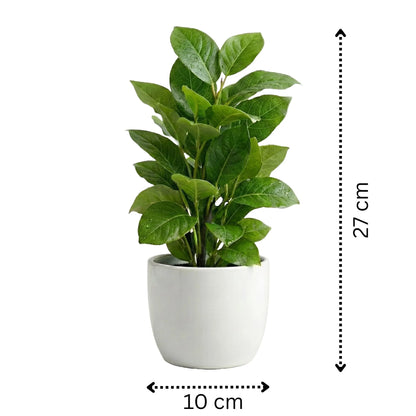 Artificial Green Leaf Potted Plant with White Pot