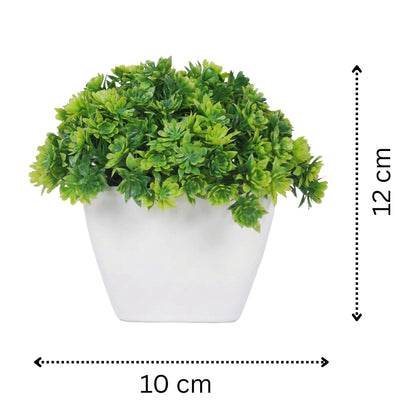 Dekorly Artificial Mini Bonsai Plant with Pot