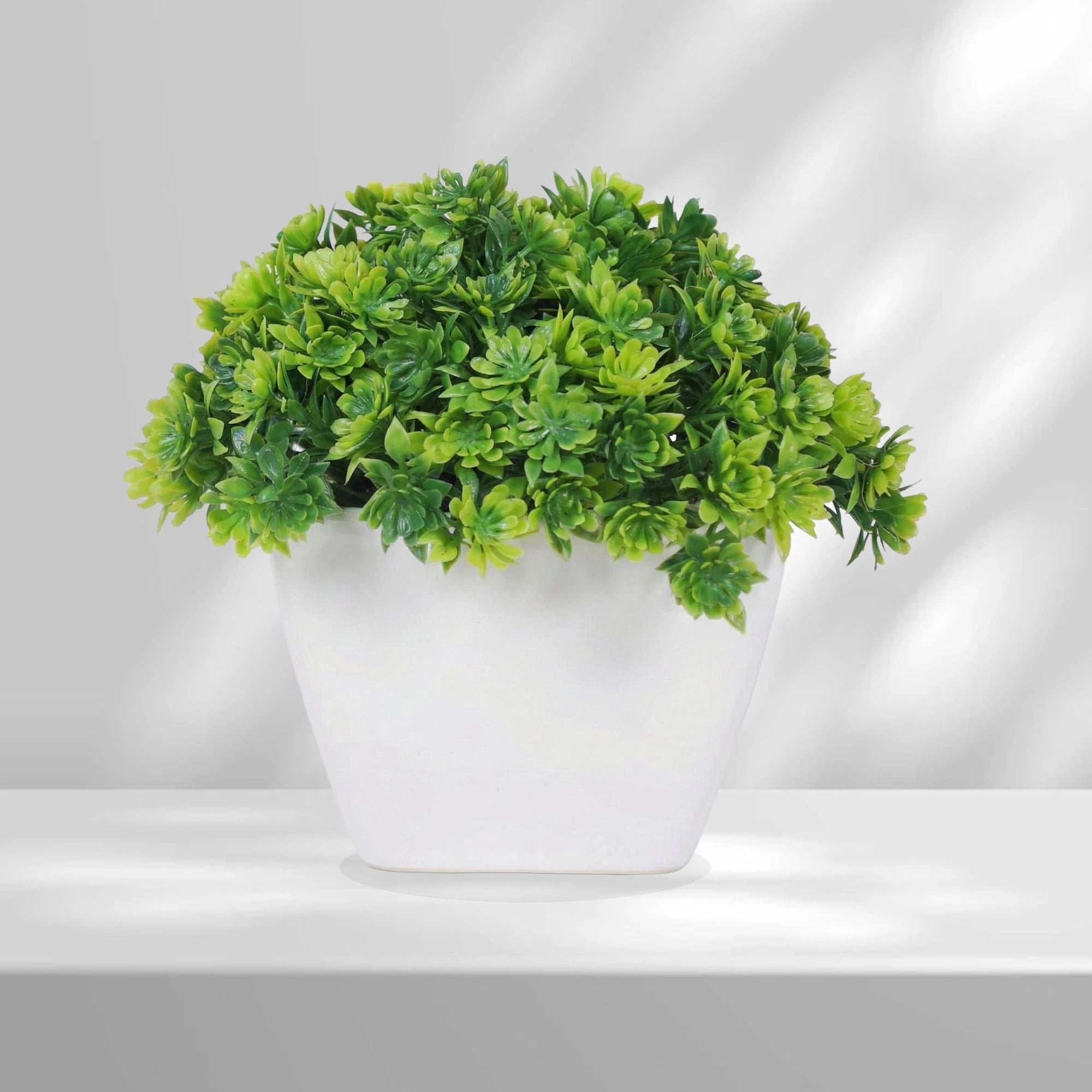 Dekorly Artificial Mini Bonsai Plant with Pot - Image 5